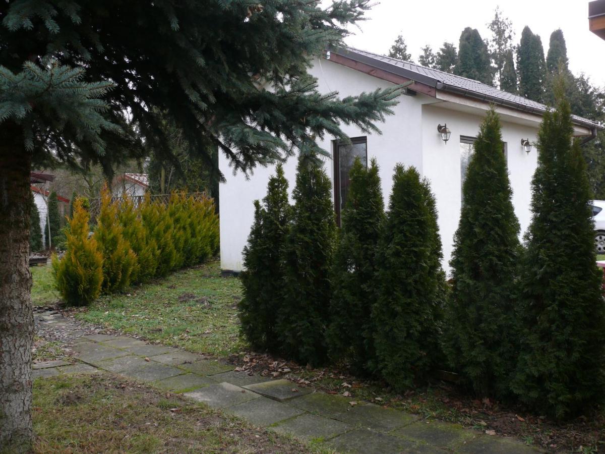 Domek Nad Jeziorem Osieczna Exterior photo